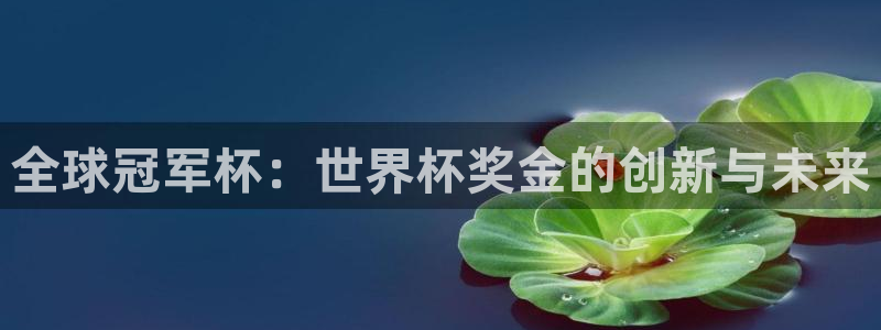 世界杯比赛赛程：全球冠军杯：世界杯奖金的创新与未来