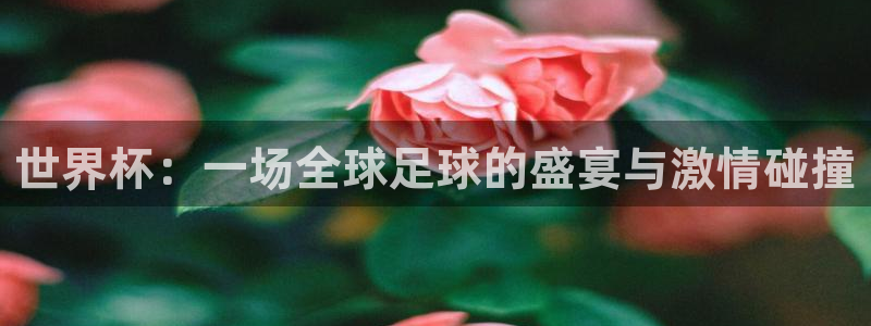 世界杯：世界杯：一场全球足球的盛宴与激情碰撞
