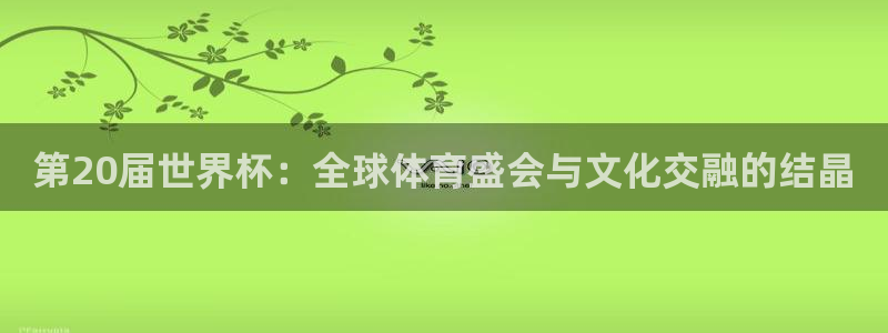 世界杯欧洲区预选赛赛程：第20届世界杯：全球体育盛会与文化交融的结晶