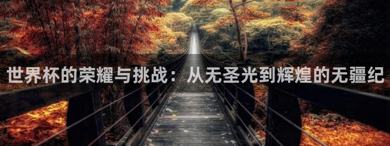 世界杯直播时间：世界杯的荣耀与挑战：从无圣光到辉煌的无疆纪