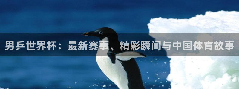世界杯预选赛赛程时间表：男乒世界杯：最新赛事、精彩瞬间与中国体育故事