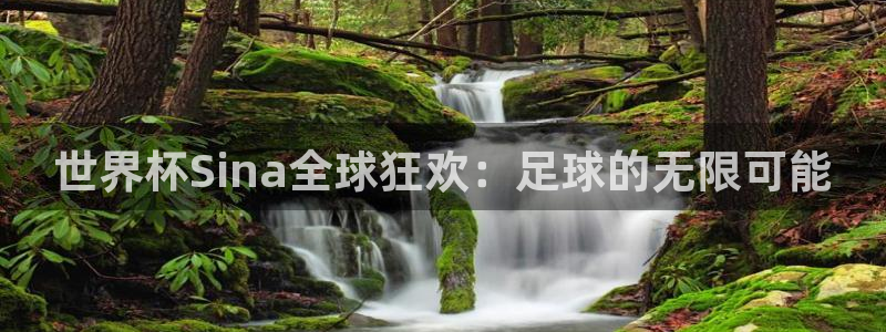 足球世界杯2026：世界杯Sina全球狂欢：足球的无限可能