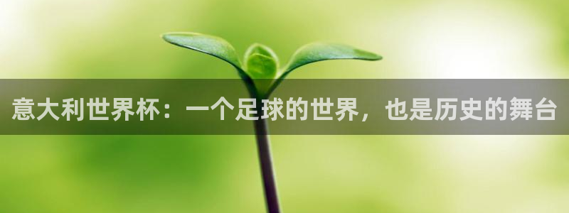 世界杯直播平台：意大利世界杯：一个足球的世界，也是历史的舞台