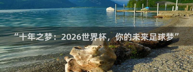 亚洲杯比赛直播：“十年之梦：2026世界杯，你的未来足球梦”