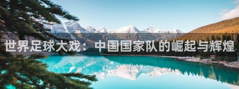 世界杯 赛程：世界足球大戏：中国国家队的崛起与辉煌