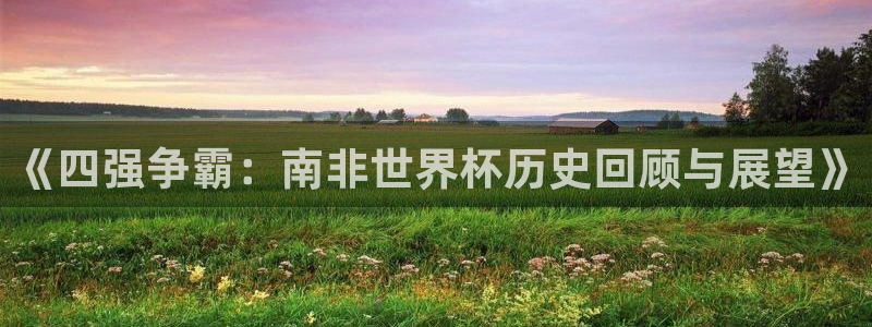 世界杯小组赛赛程：《四强争霸：南非世界杯历史回顾与展望》