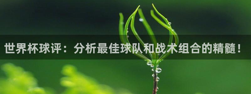 预选赛世界杯：世界杯球评：分析最佳球队和战术组合的精髓！