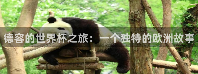 世界杯预选赛赛程表：德容的世界杯之旅：一个独特的欧洲故事
