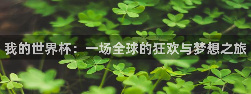 世界杯2026比赛时间表：我的世界杯：一场全球的狂欢与梦想之旅