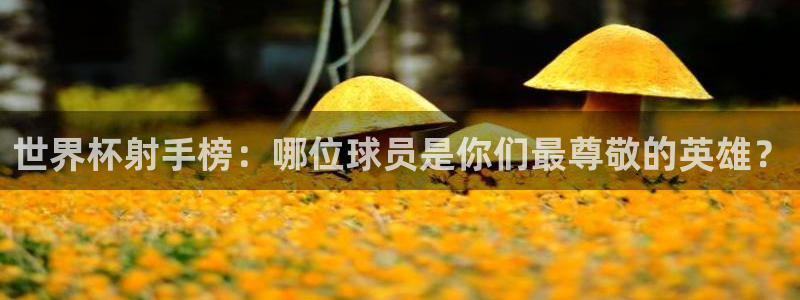 2026世界杯赛程表完整版：世界杯射手榜：哪位球员是你们最尊敬的英雄？