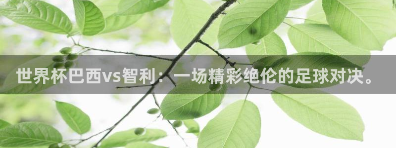 世预赛直播：世界杯巴西vs智利：一场精彩绝伦的足球对决。