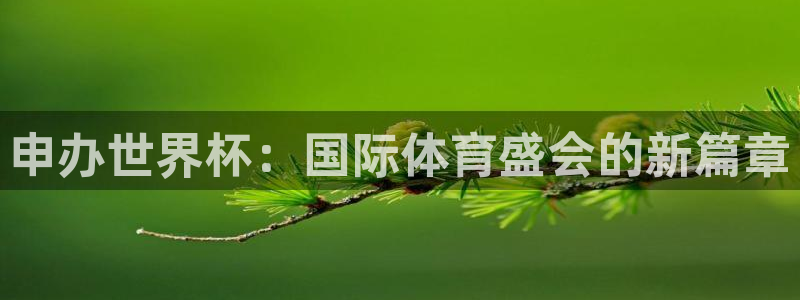 世界杯直播免费观看：申办世界杯：国际体育盛会的新篇章