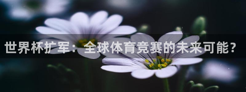 世界杯比赛赛程：世界杯扩军：全球体育竞赛的未来可能？
